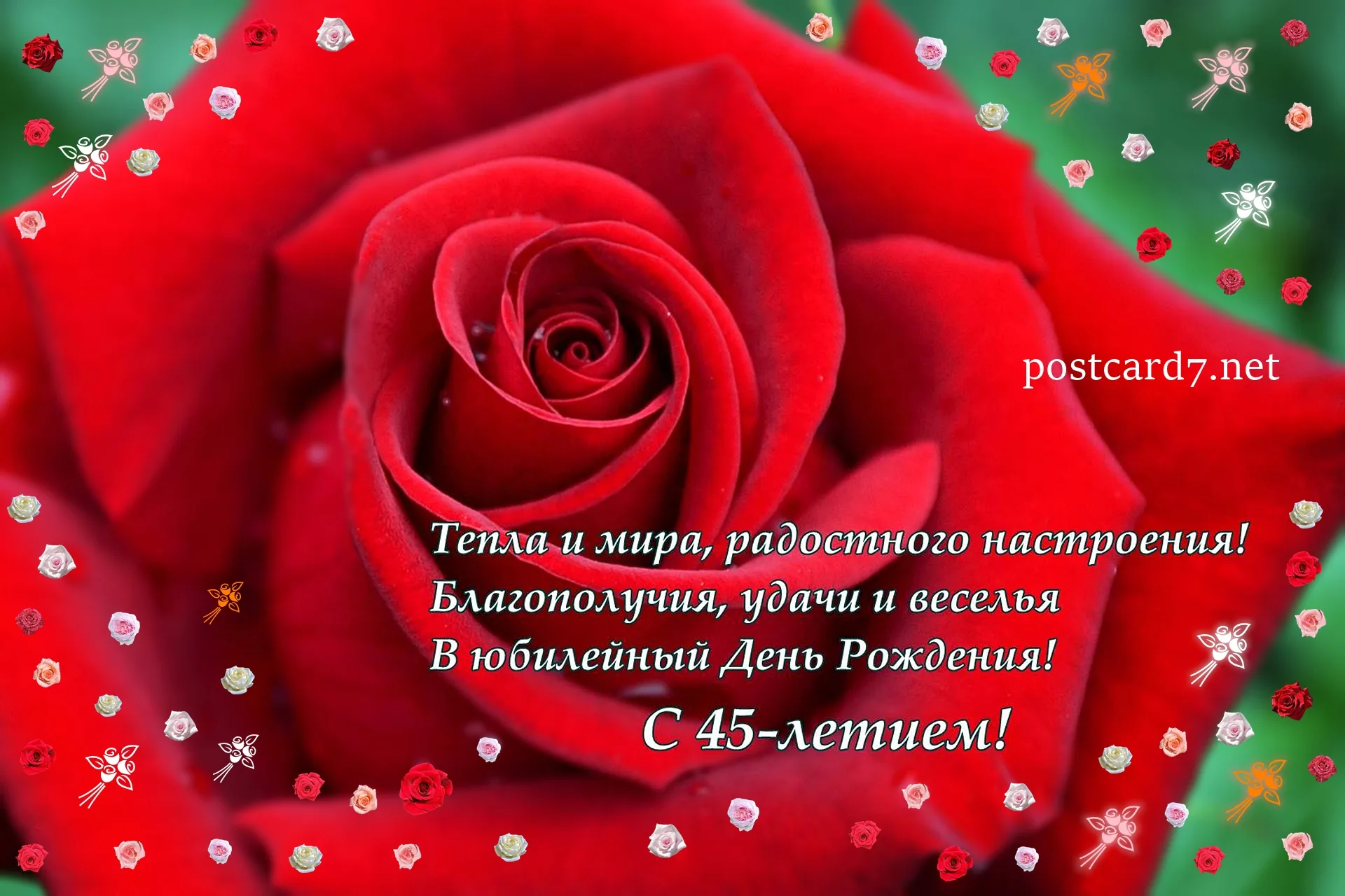 Как поздравить подругу с 45 летием оригинально. С юбилеем 45 женщине. 45 Лет женщине поздравления. Поздравление с юбилеем 45 женщине. Поздравление с юбилеем 45 лет женщине красивые.