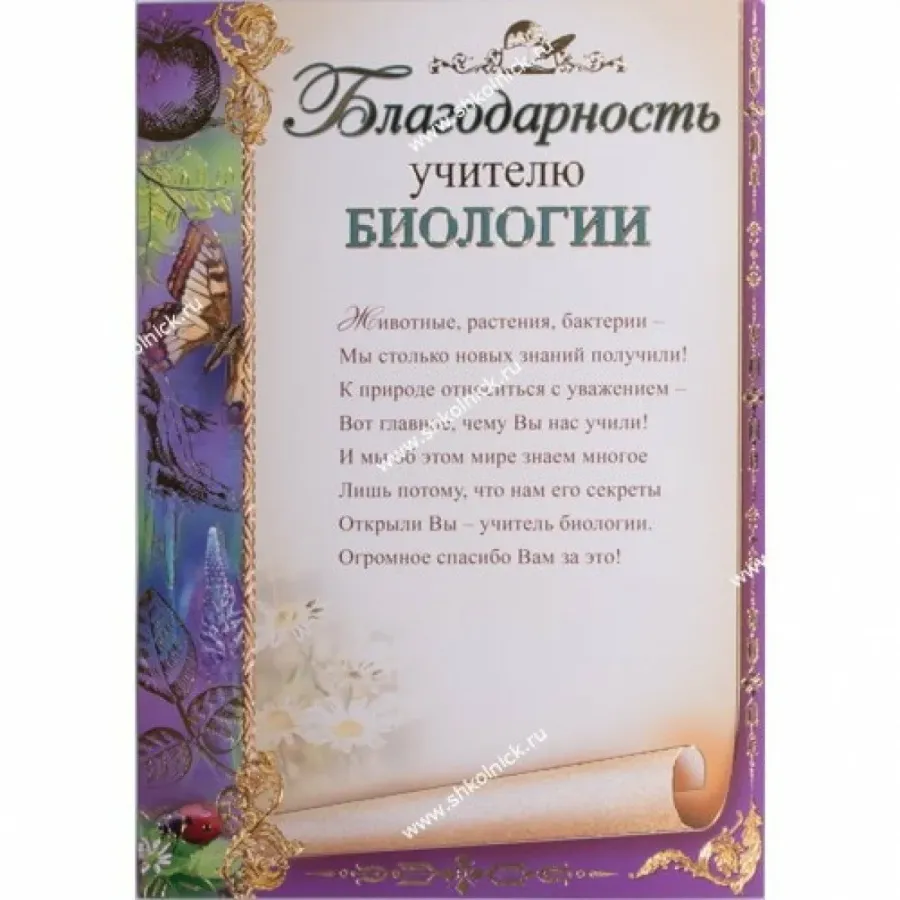 Слова благодарности учителю начальных классов от родителей картинки