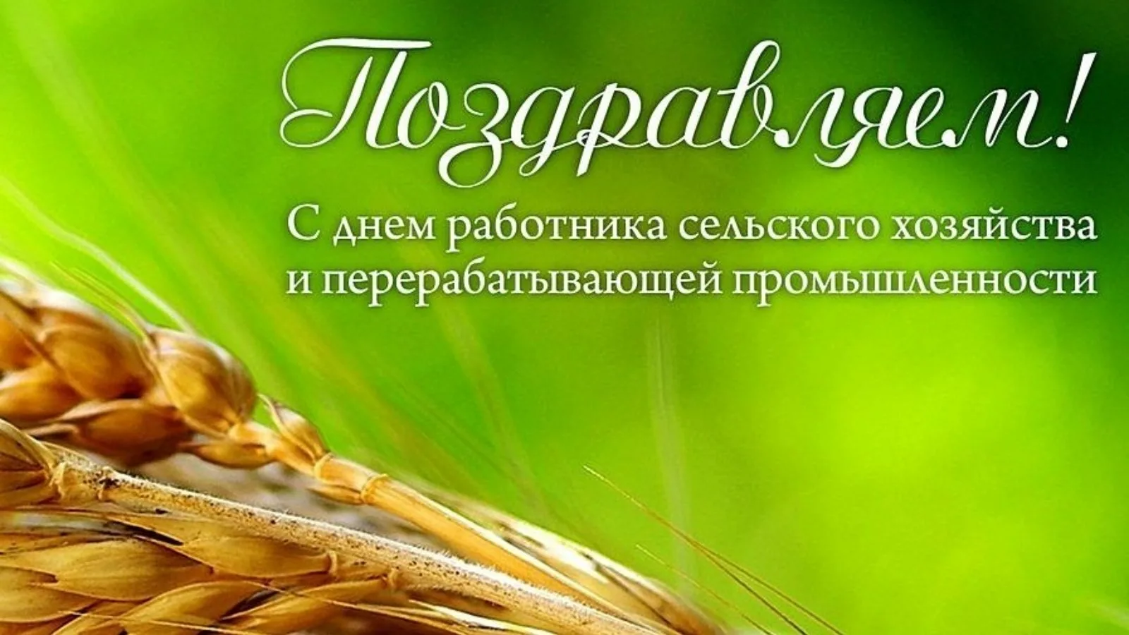 Фото Вірші та привітання з Днем працівників сільського господарства України #53
