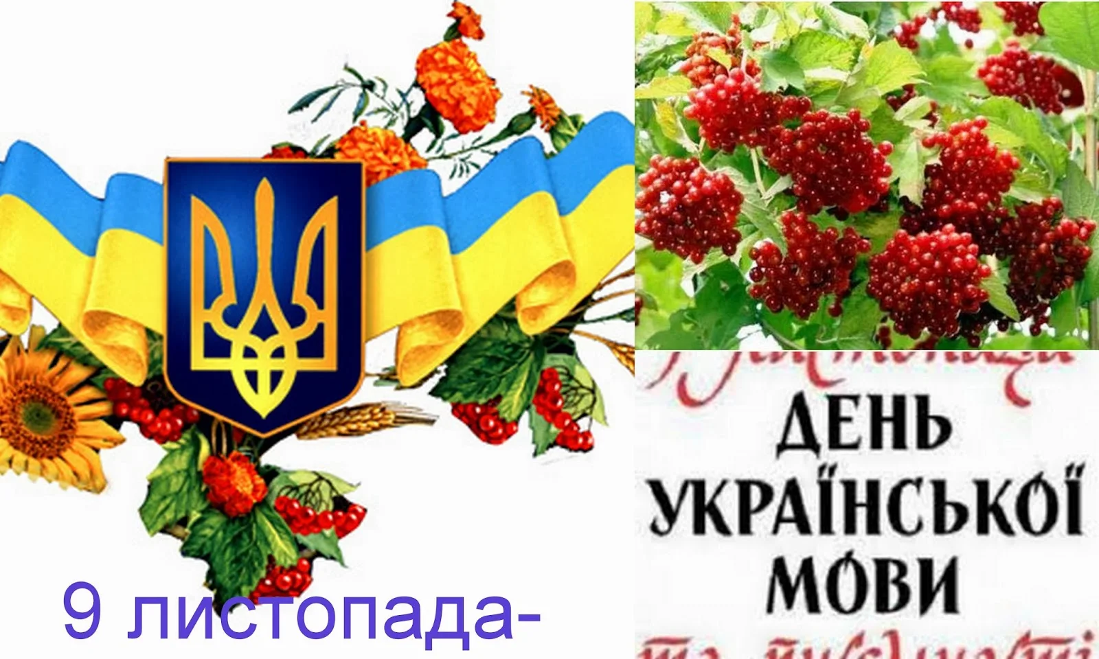 Фото День украинской письменности и языка 2024 #43