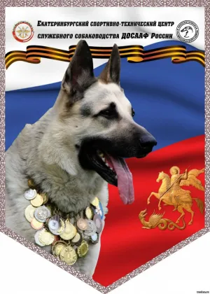 Скачивание изображения #38806