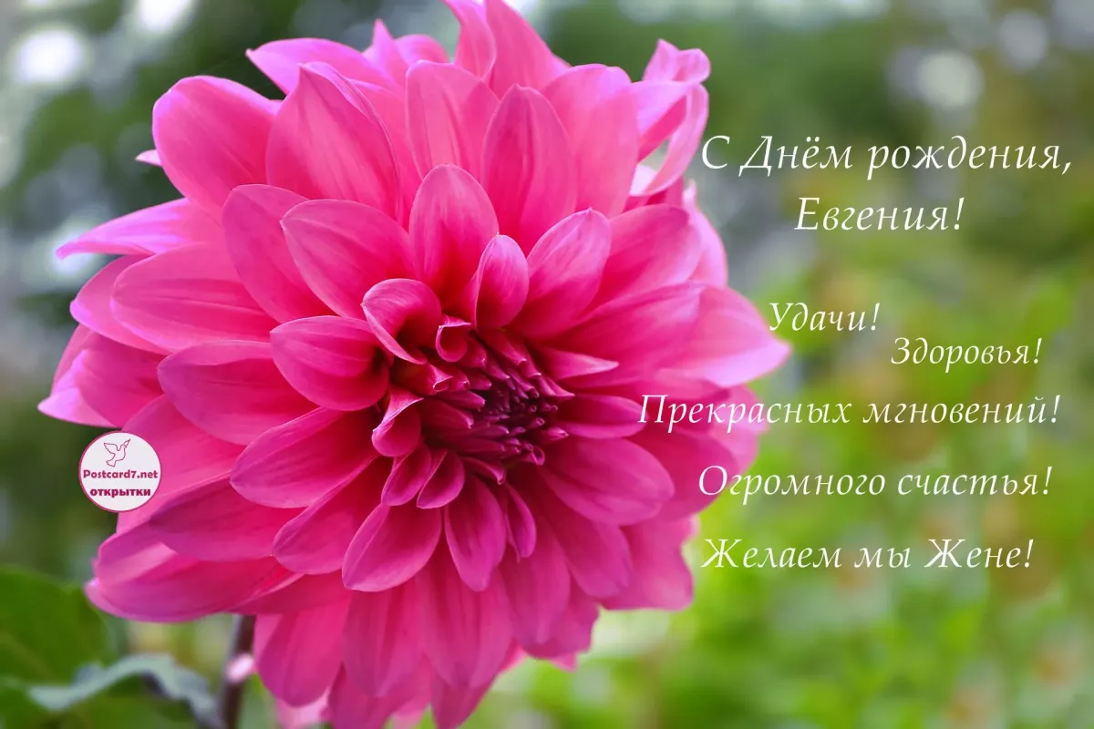 Открытка с днем рождения евгения девушка