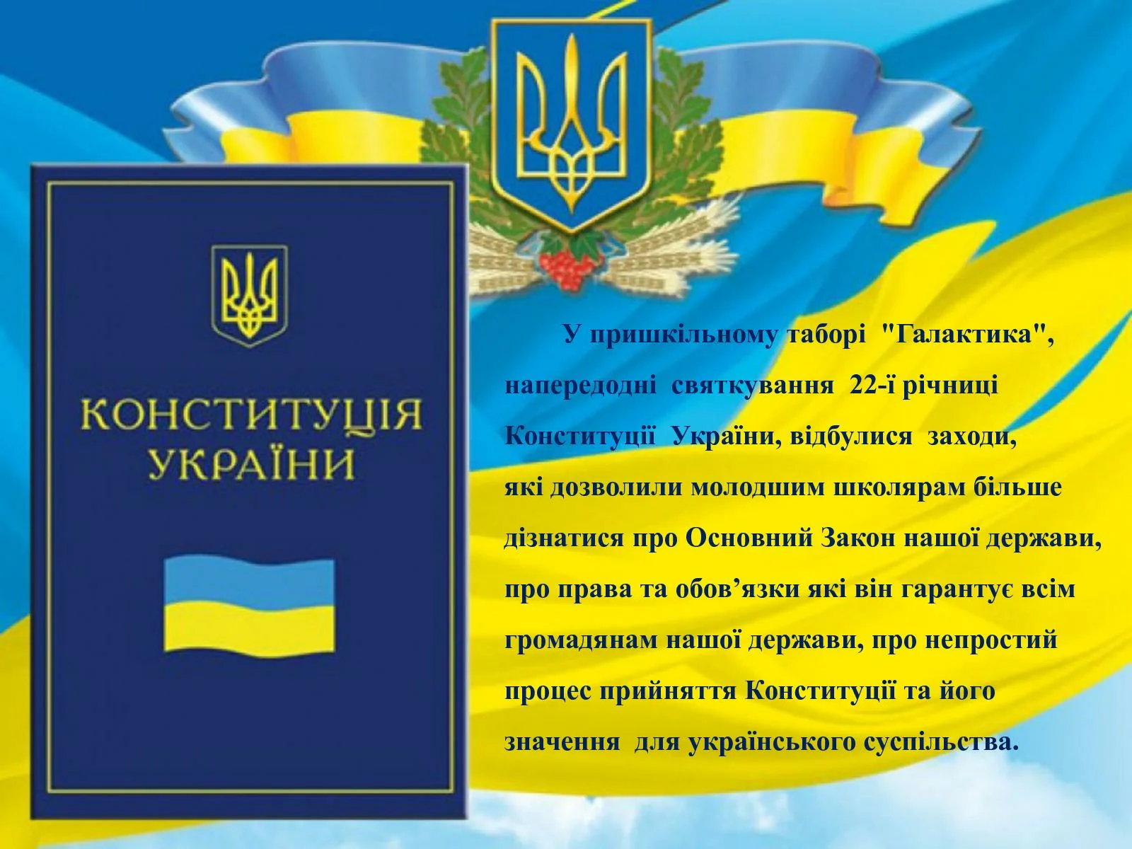Фото День Конституции Украины #60