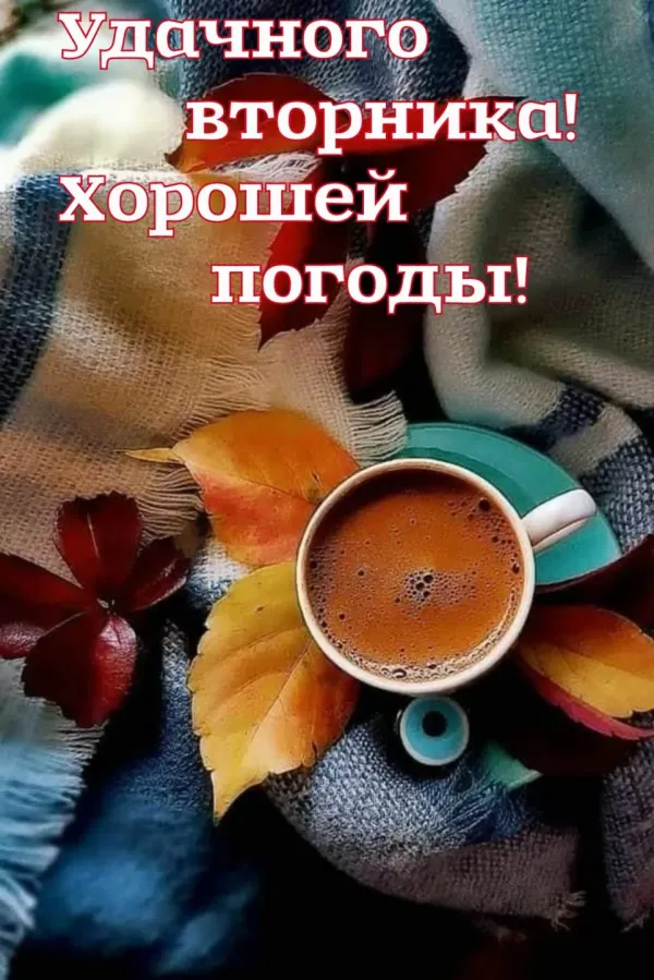 Вторник осень доброе утро хорошего. Вторник осень доброе утро хорошего