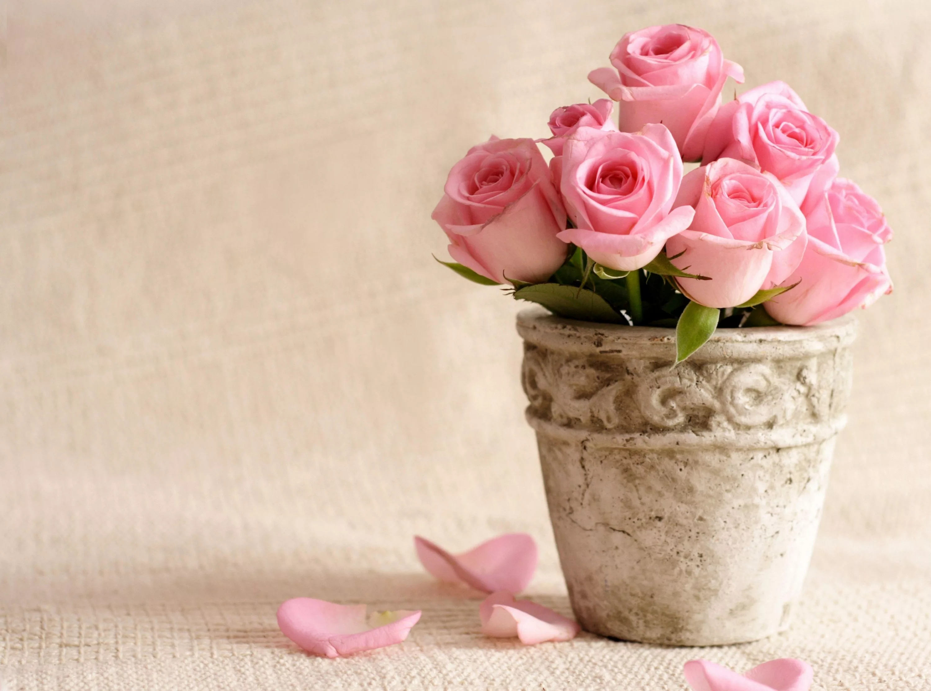 Цветы для марины. Букет цветов «день рождение». Поздравления с днём рождения Марине. Открытки с цветами с днем рождения женщине. Красивый букет цветов для женщины с днем рождения.