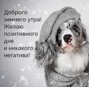 Скачивание изображения #429750