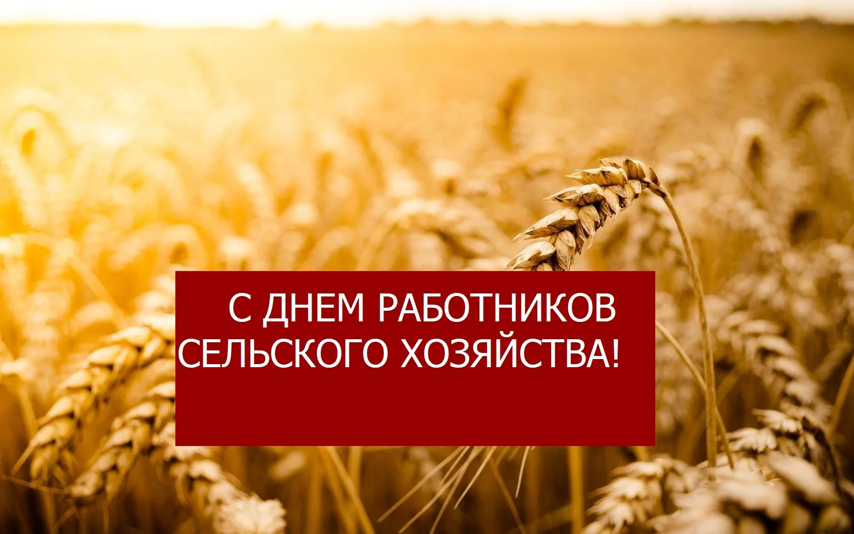 Фото Поздравления с днем работников сельского хозяйства Украины #78