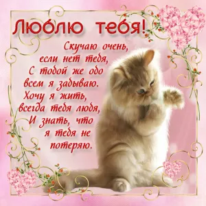 Скачивание изображения #226765