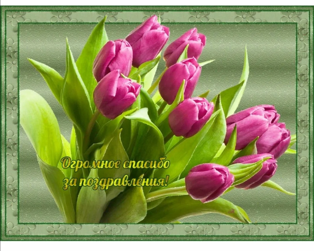 Фото Стихи к подарку тюльпаны #7