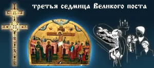 Скачивание изображения #500311