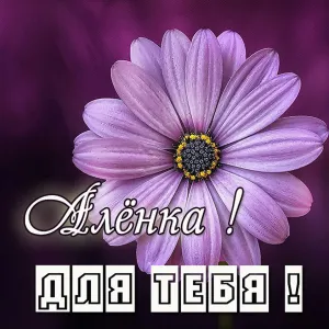 Скачивание изображения #62710