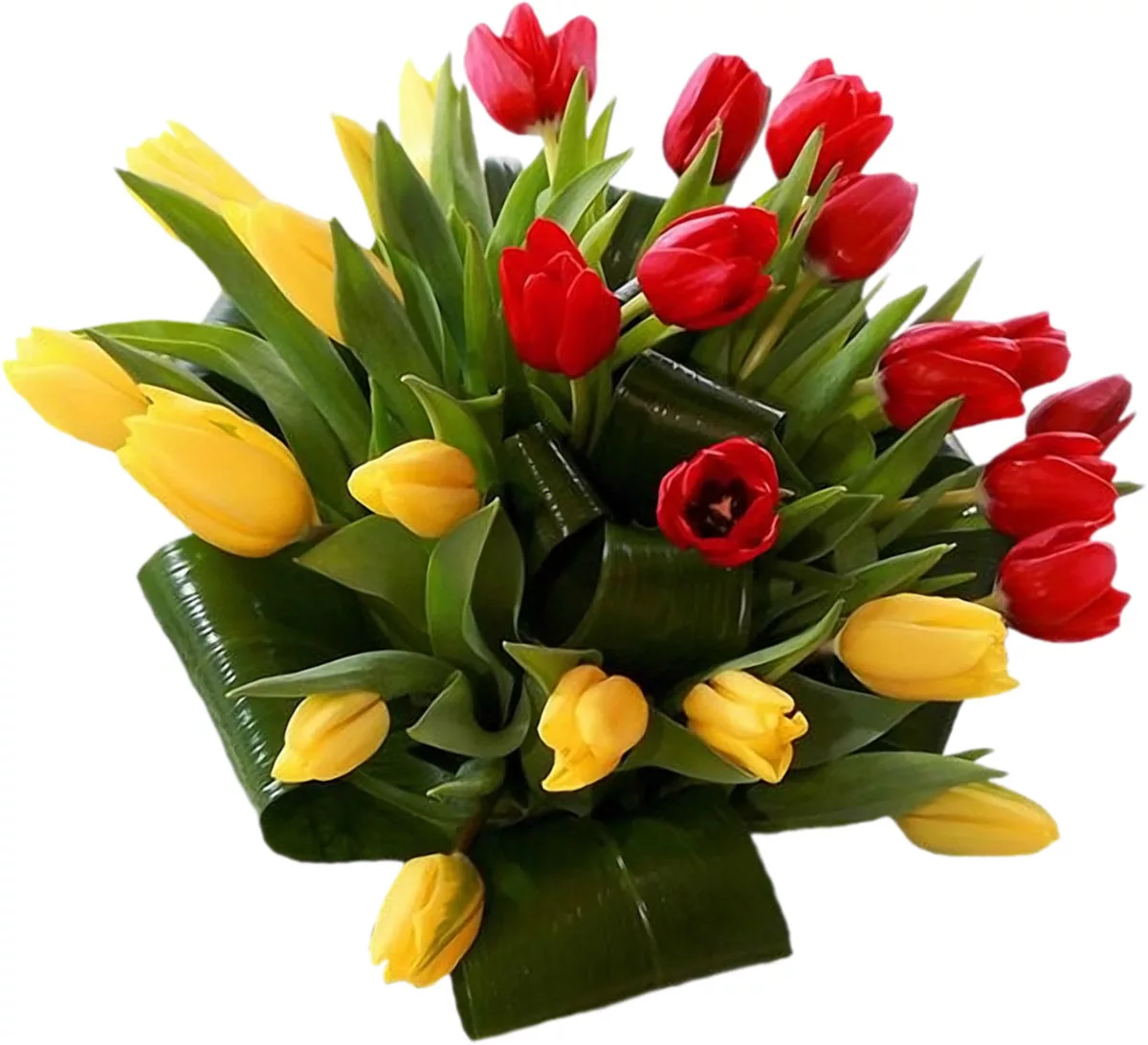 Фото Стихи к подарку тюльпаны #79