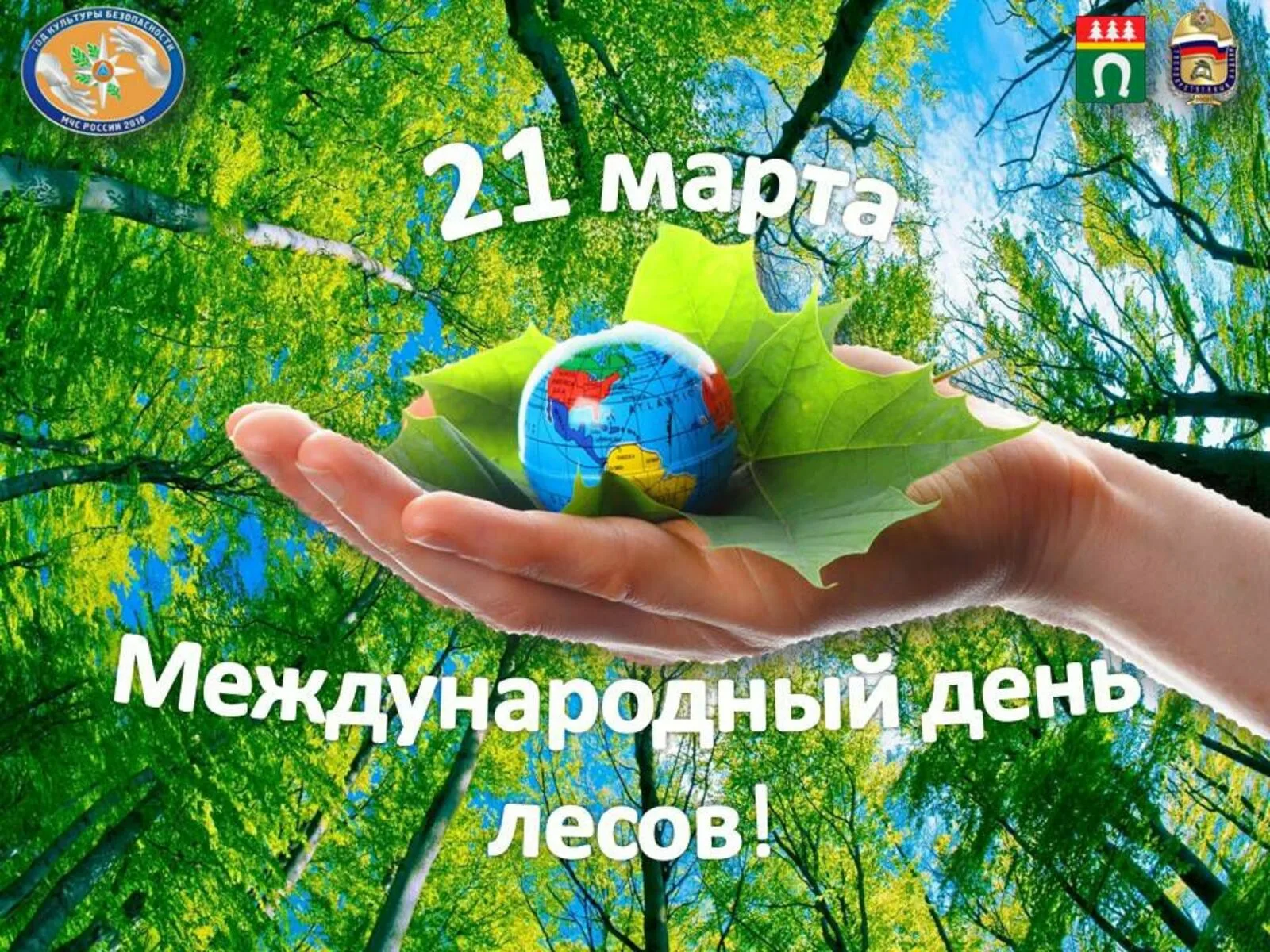 Фото Международный день леса 2025 #8