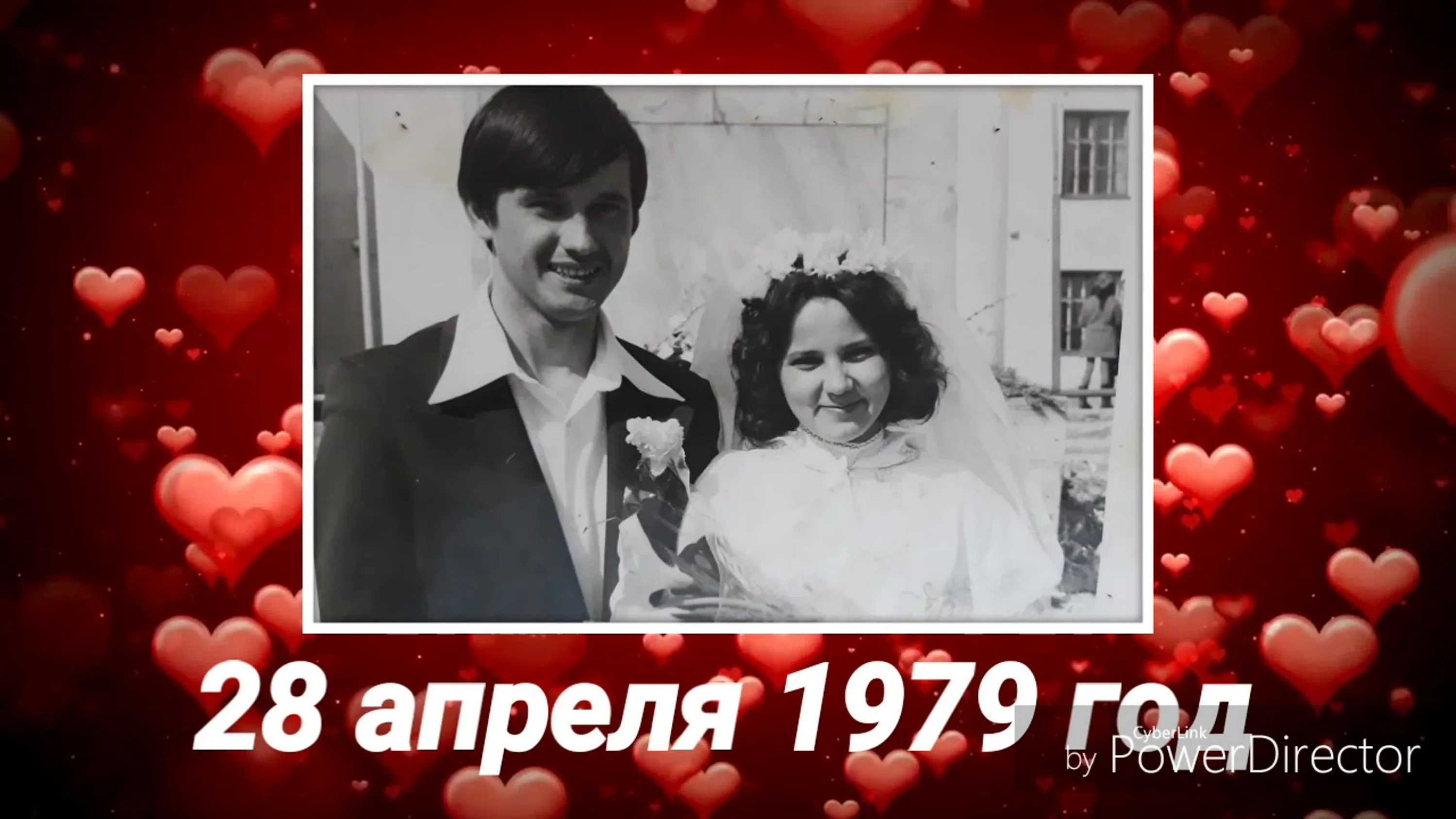 Фото Рубиновая свадьба (40 лет) #71