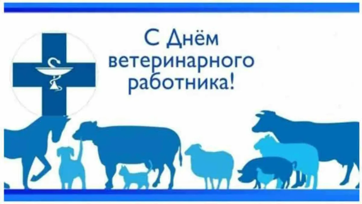 С днем ветеринарного работника. 31 Августа день ветеринарного работника. День работников ветеринарной службы. С праздником ветеринарной службы.