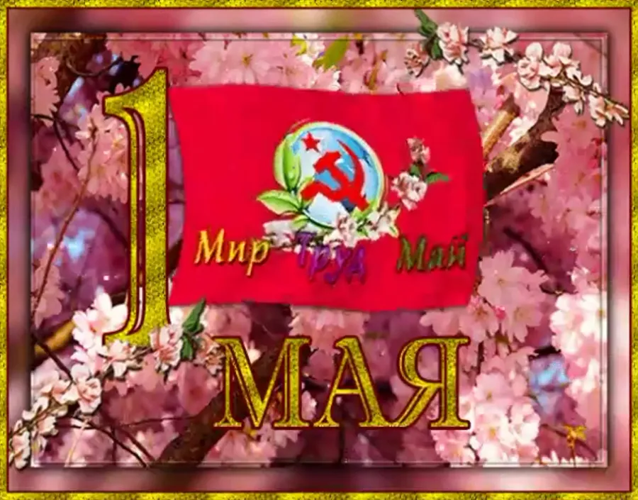 С днем рождения майя открытки