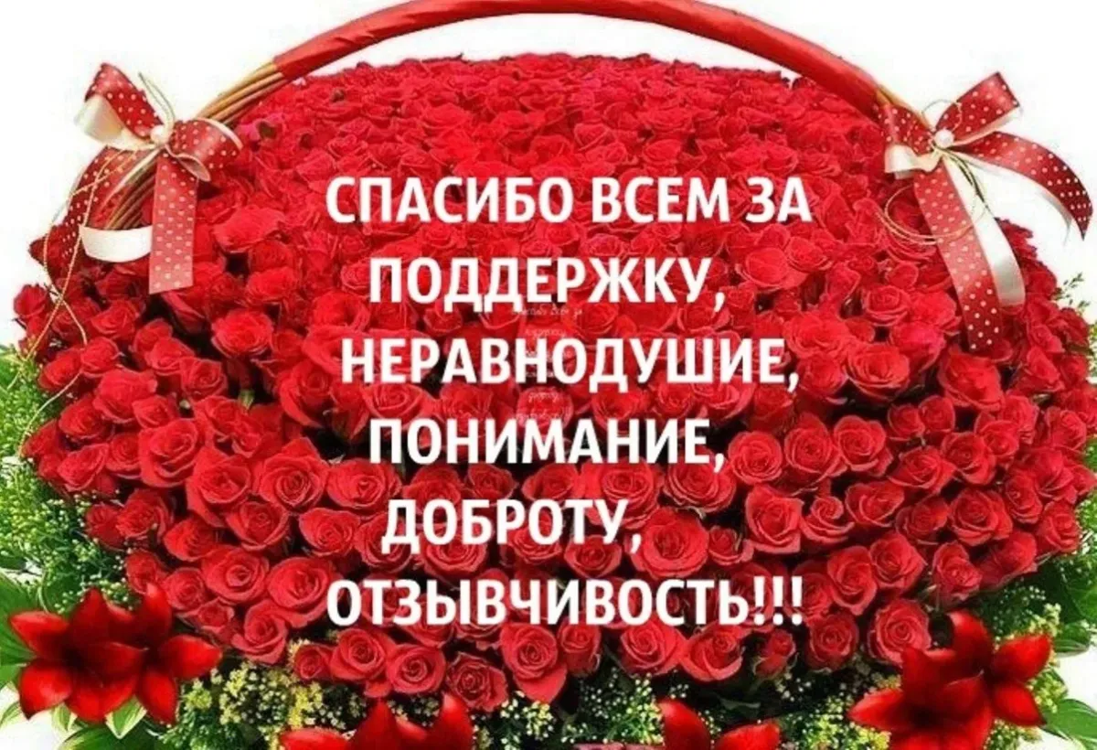 Помощник благодарю. Всем спасибоза поддерюку. Спасибо за поддержку. Благодарность за поддержку и понимание. Спасибо всем за падежка.