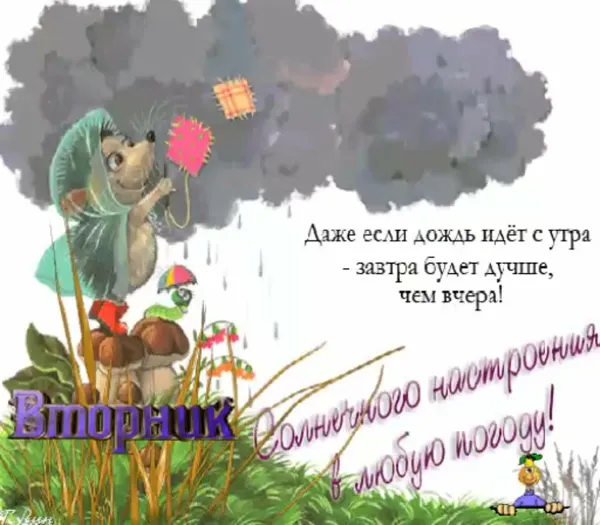 Отличного настроения в любую погоду