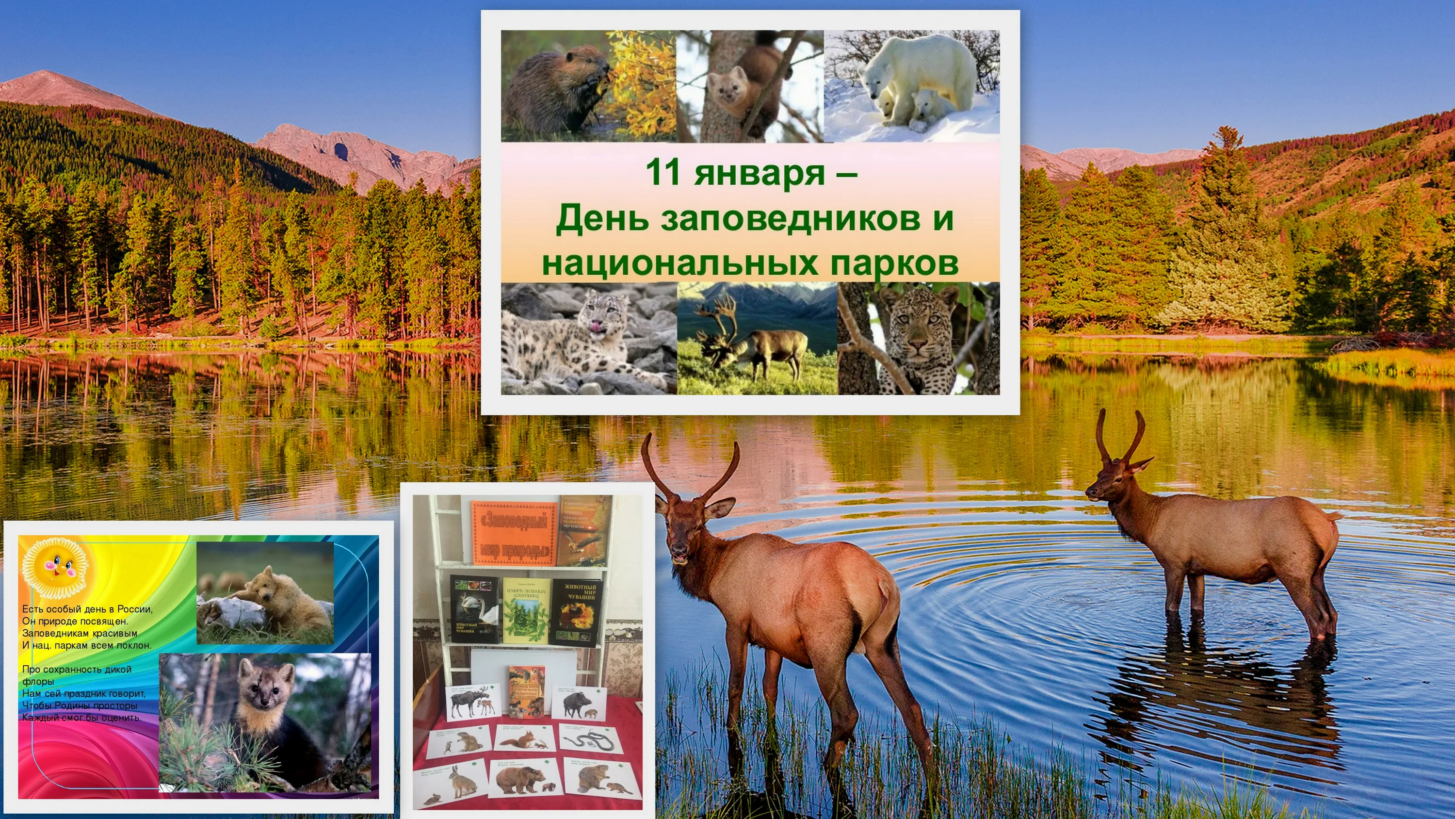 Фото День заповедников и национальных парков 2025 #48