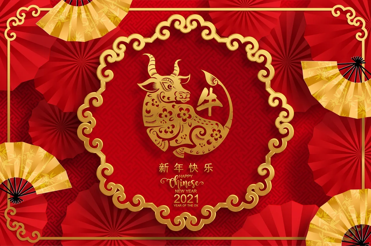 Фото Китайский Новый год 2025 #38