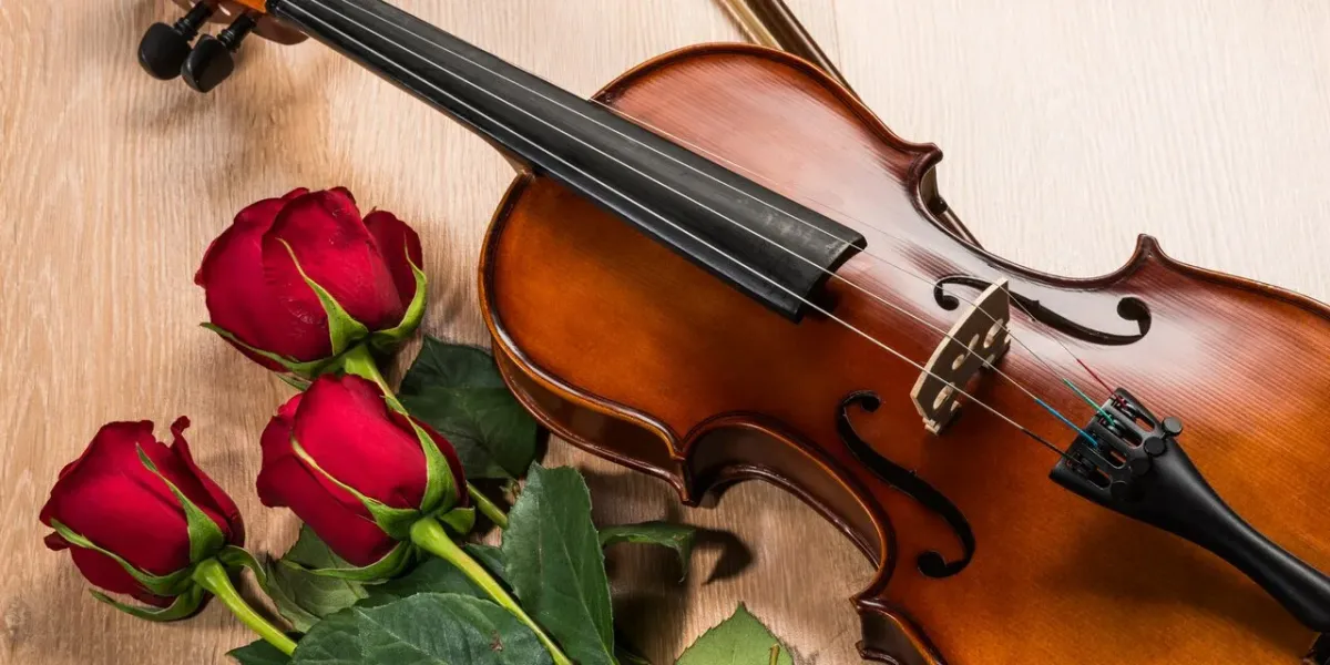 Скрипка. Цветы для музыканта. С днем учителя учителю скрипки. С днем учителя музыкальной школы.