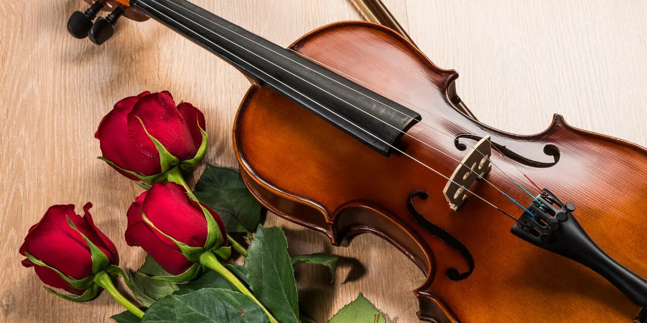 Мелодия для поздравления с днем. Скрипка. Цветы для музыканта. С днем учителя учителю скрипки. С днем учителя музыкальной школы.