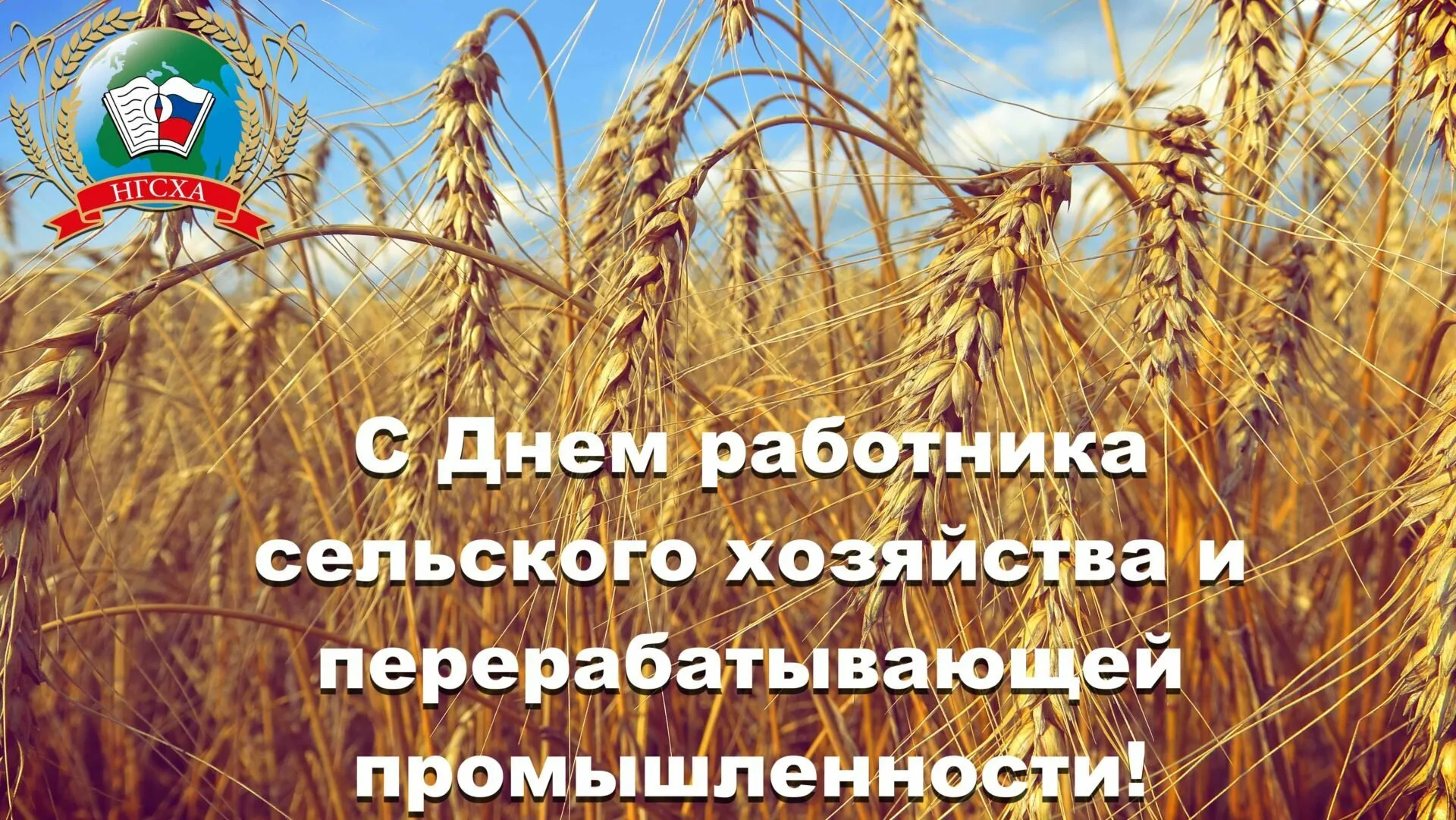 Фото Вірші та привітання з Днем працівників сільського господарства України #70