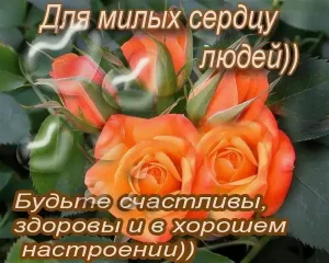 Родные и близкие картинки