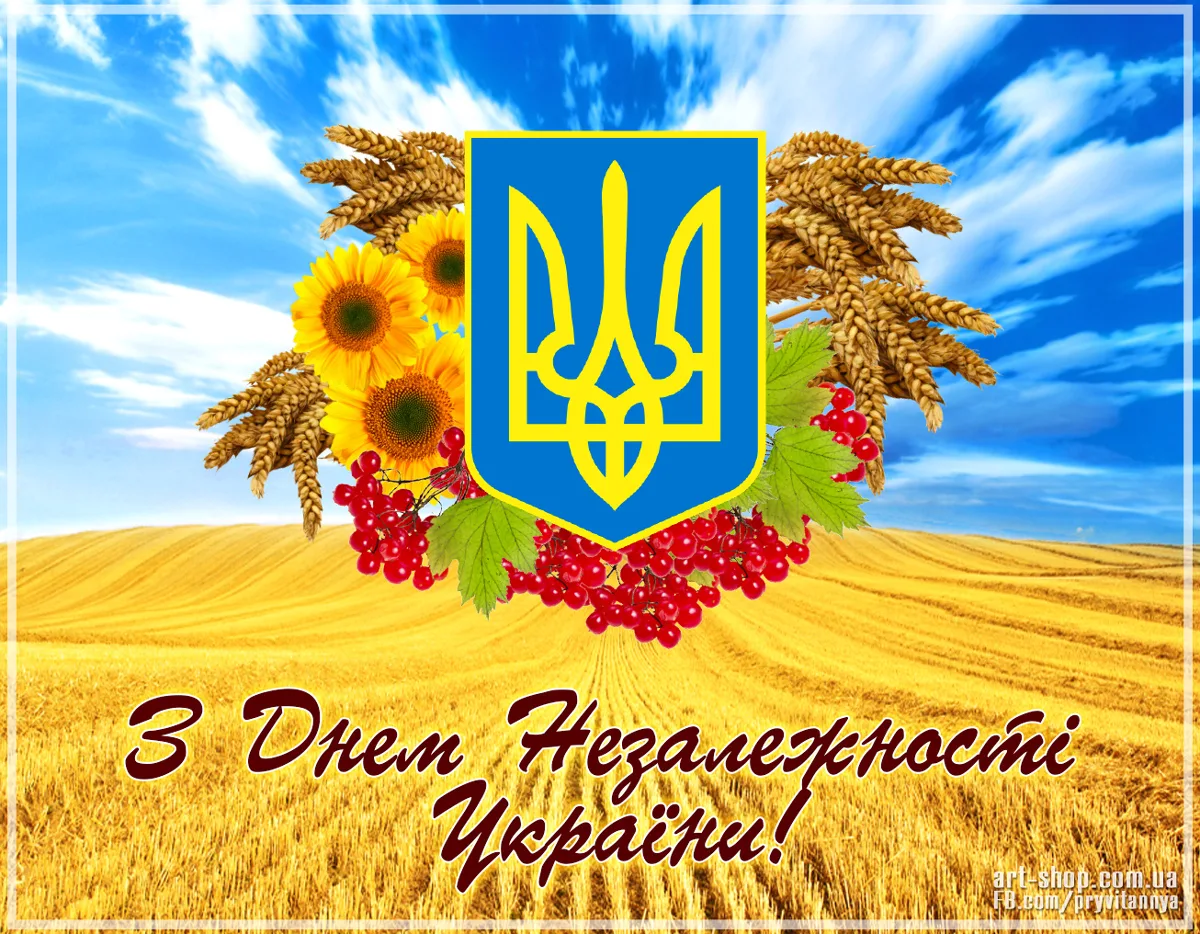 Фото День флага Украины #6