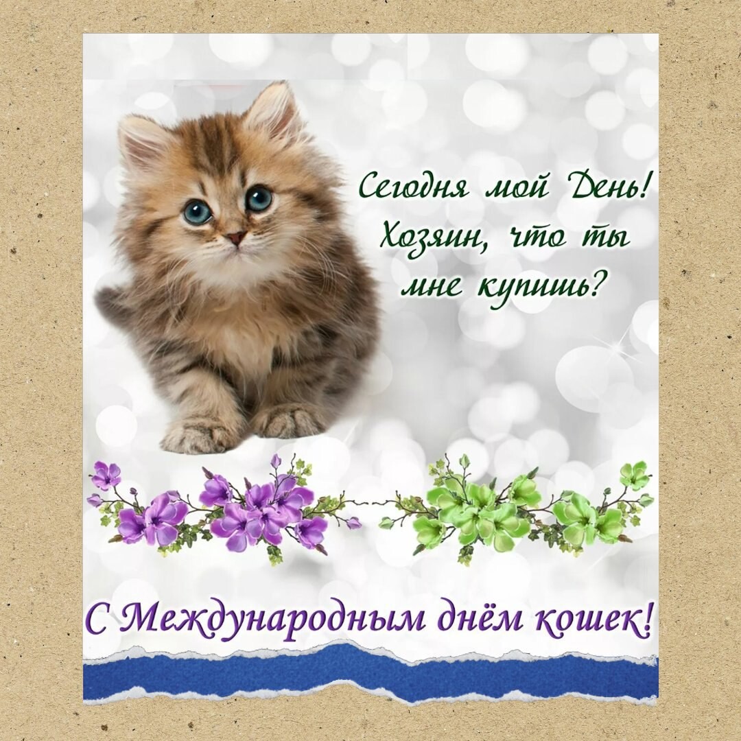 день кошек в россии