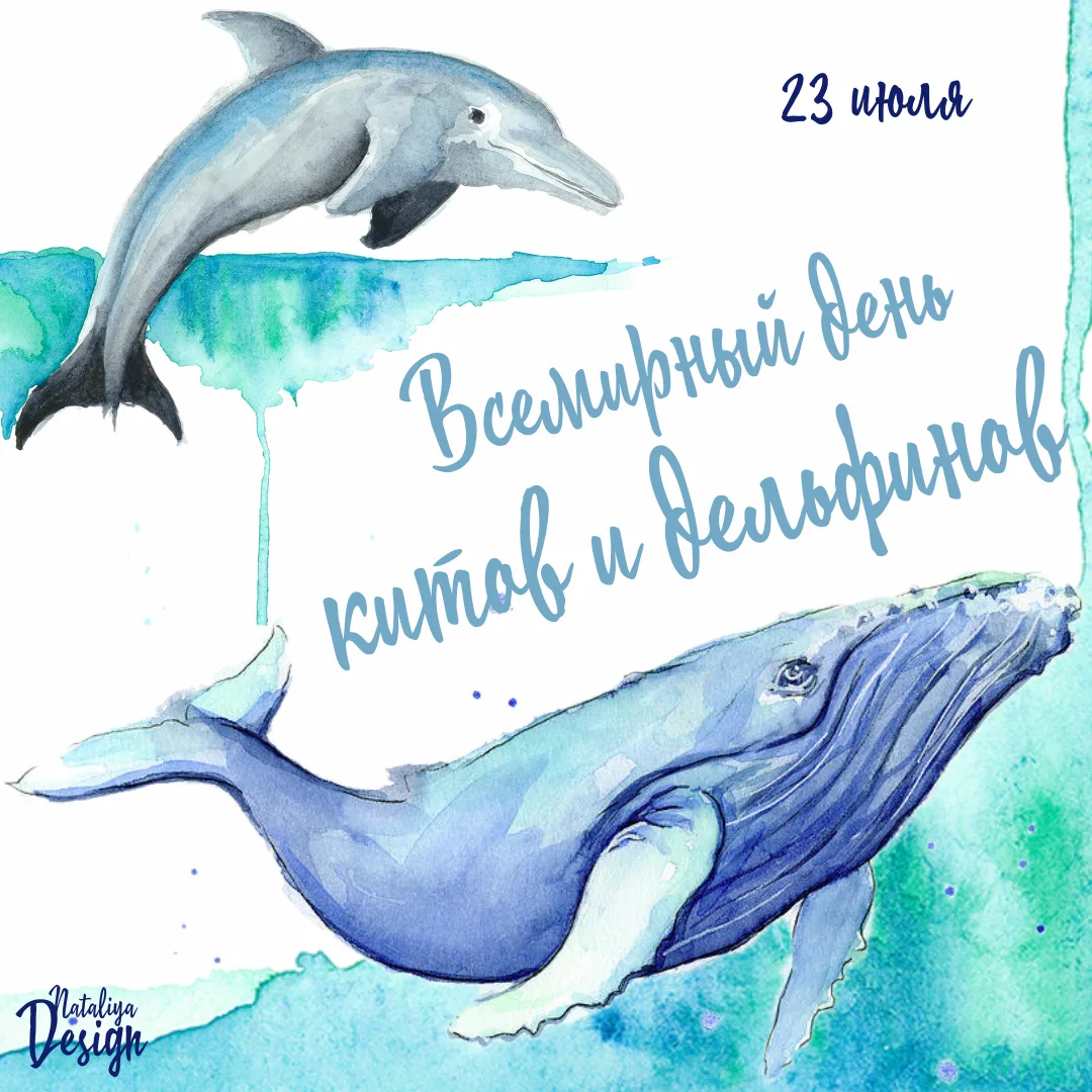 Фото Всемирный день китов и дельфинов 2024 #4