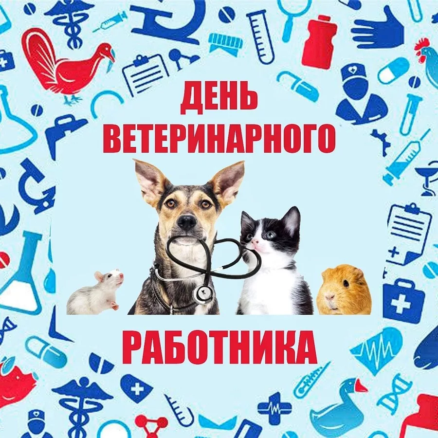 С днем ветеринара. С Днёмветеринарного работника. С днем ветеринарного врача. С днем ветеринарноготврача.