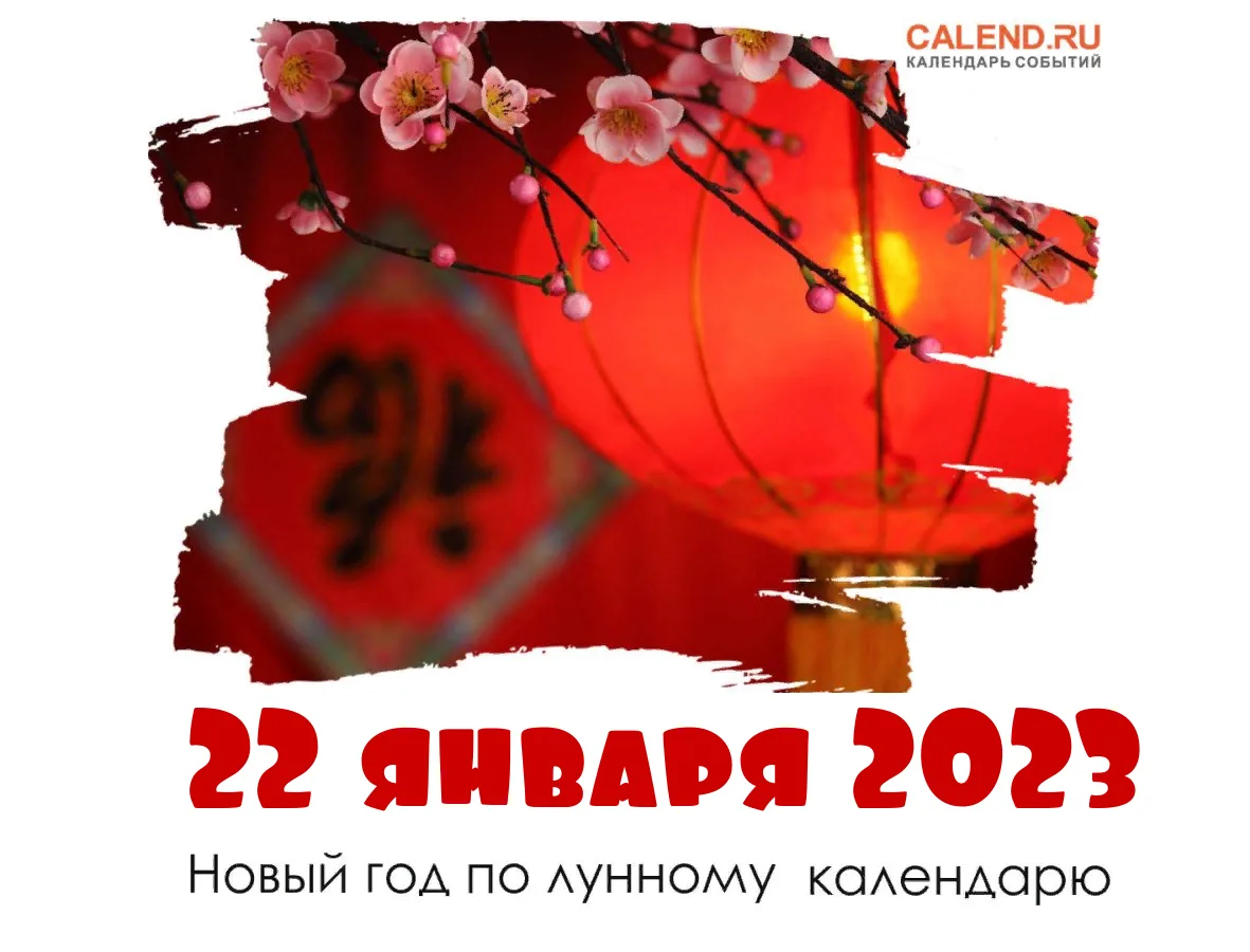 Фото Китайский Новый год 2025 #63