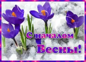 Скачивание изображения #177835