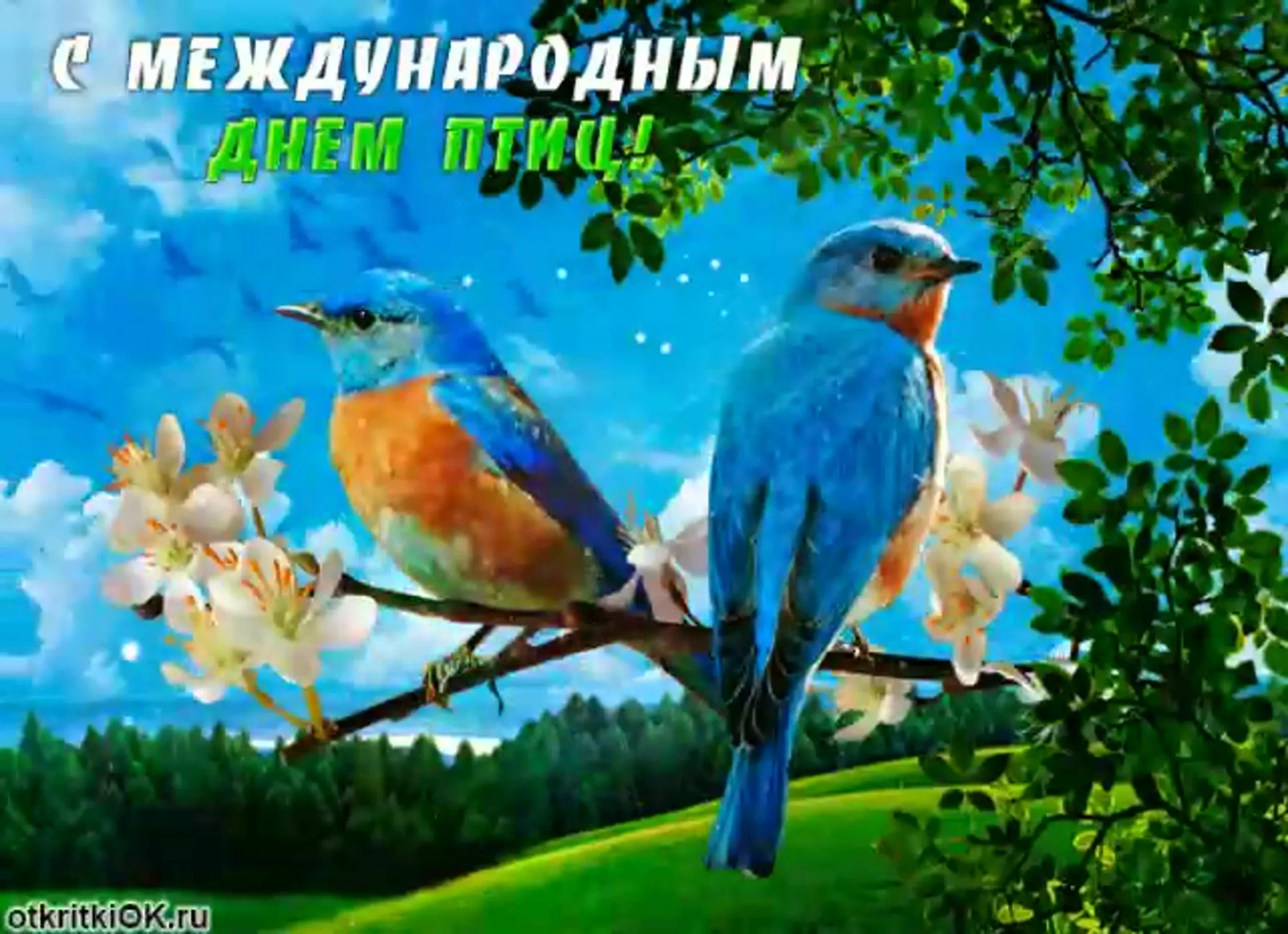 День птиц в россии 2024. День птиц. Международный день птиц. День птиц открытки. Международный день птиц поздравления.