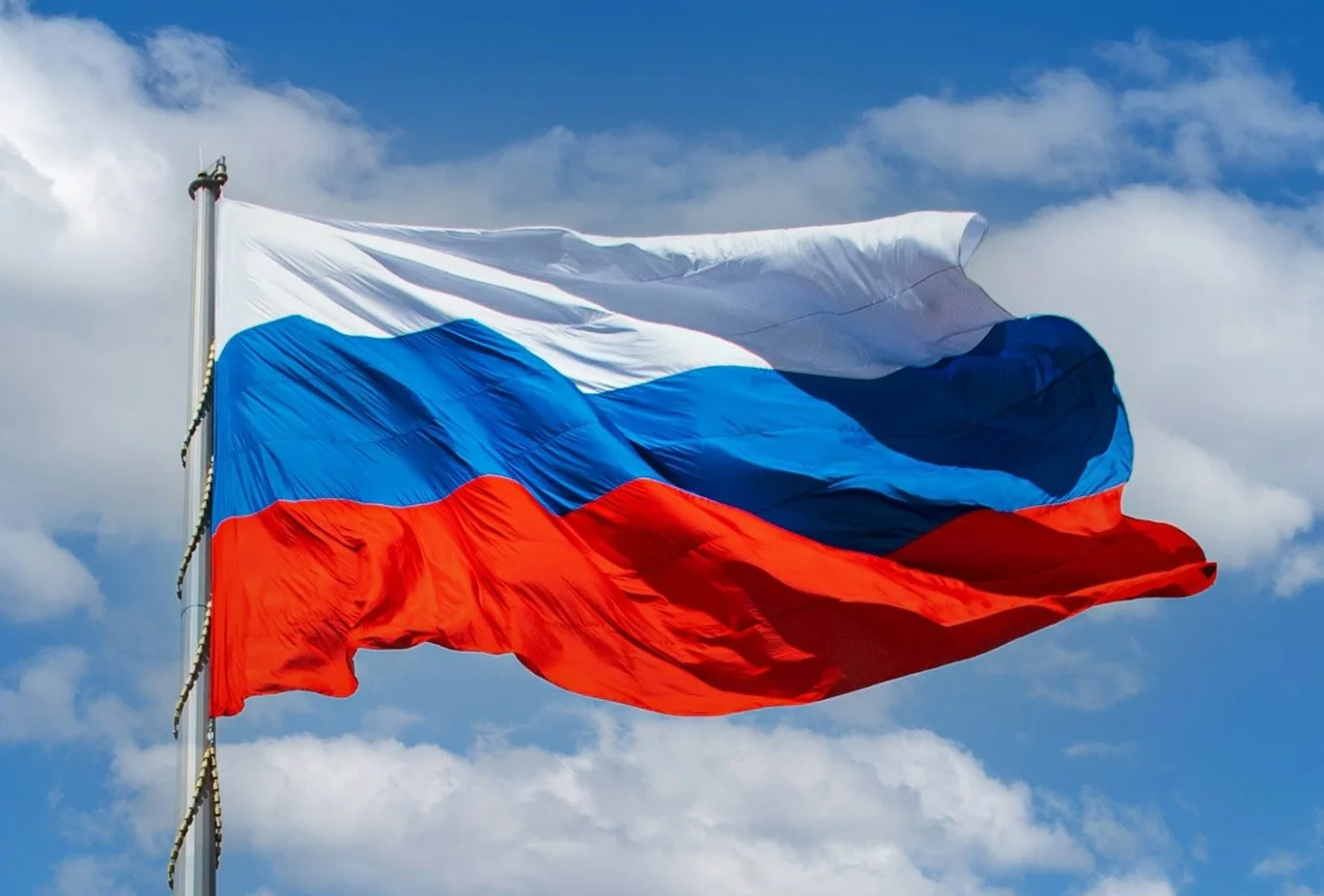 Фото День государственного флага России 2024 #45