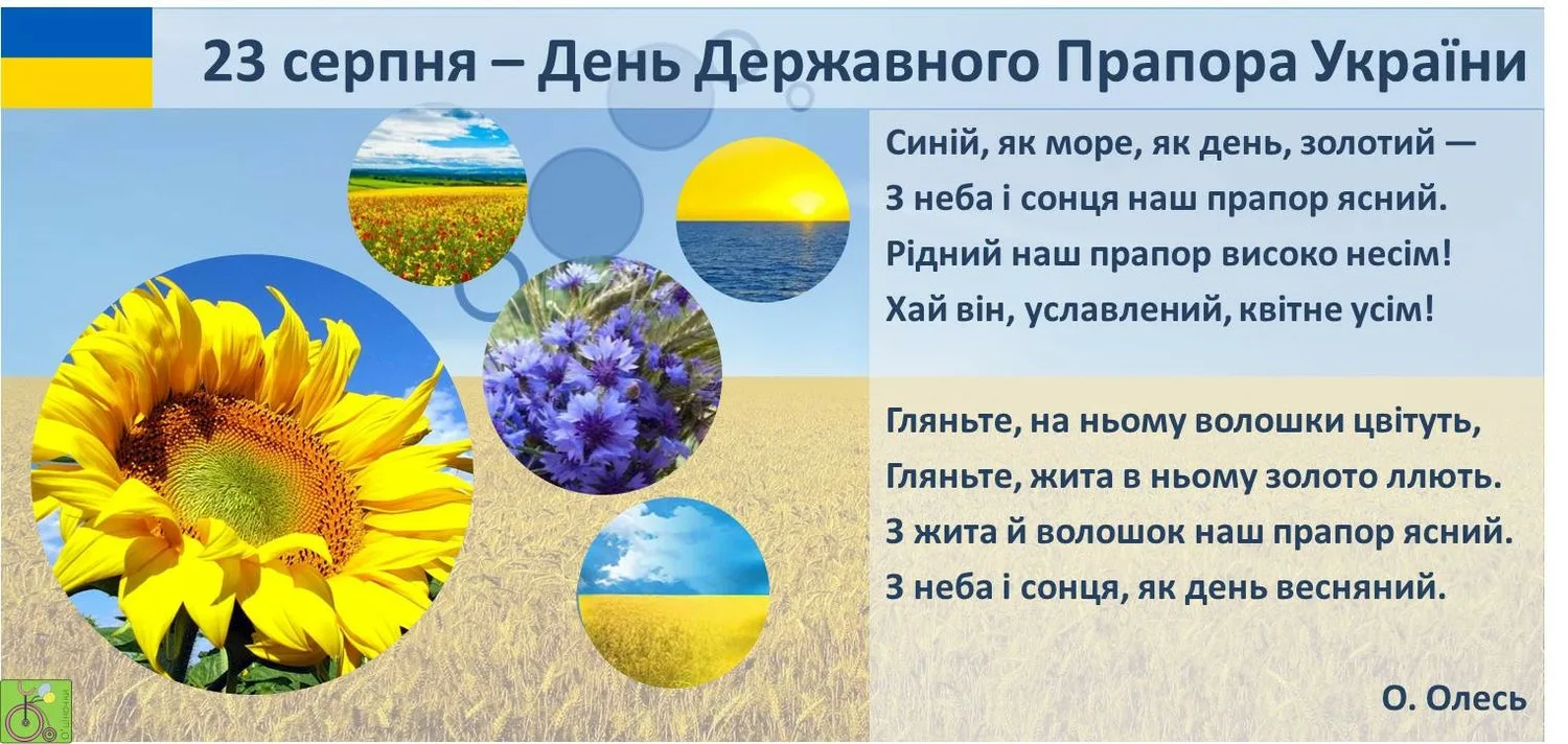 Фото День флага Украины #34