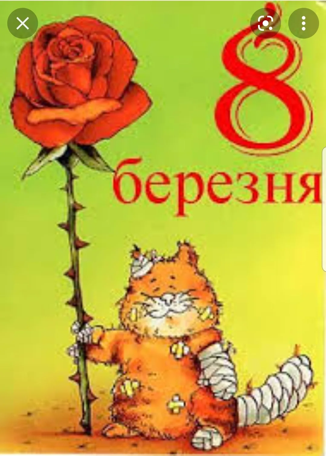 Фото Привітання з 8 Березня подрузі на українській мові #28