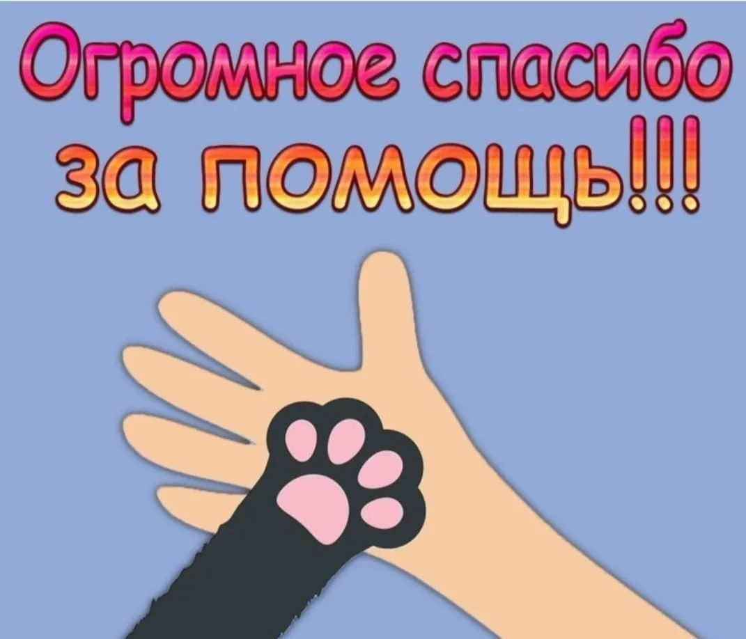 Благодарим за помощь картинки. Спасибо за помощь. Благодарим за помощь. Огромное спасибо за помощь. Огромное спасибо заипомощь.