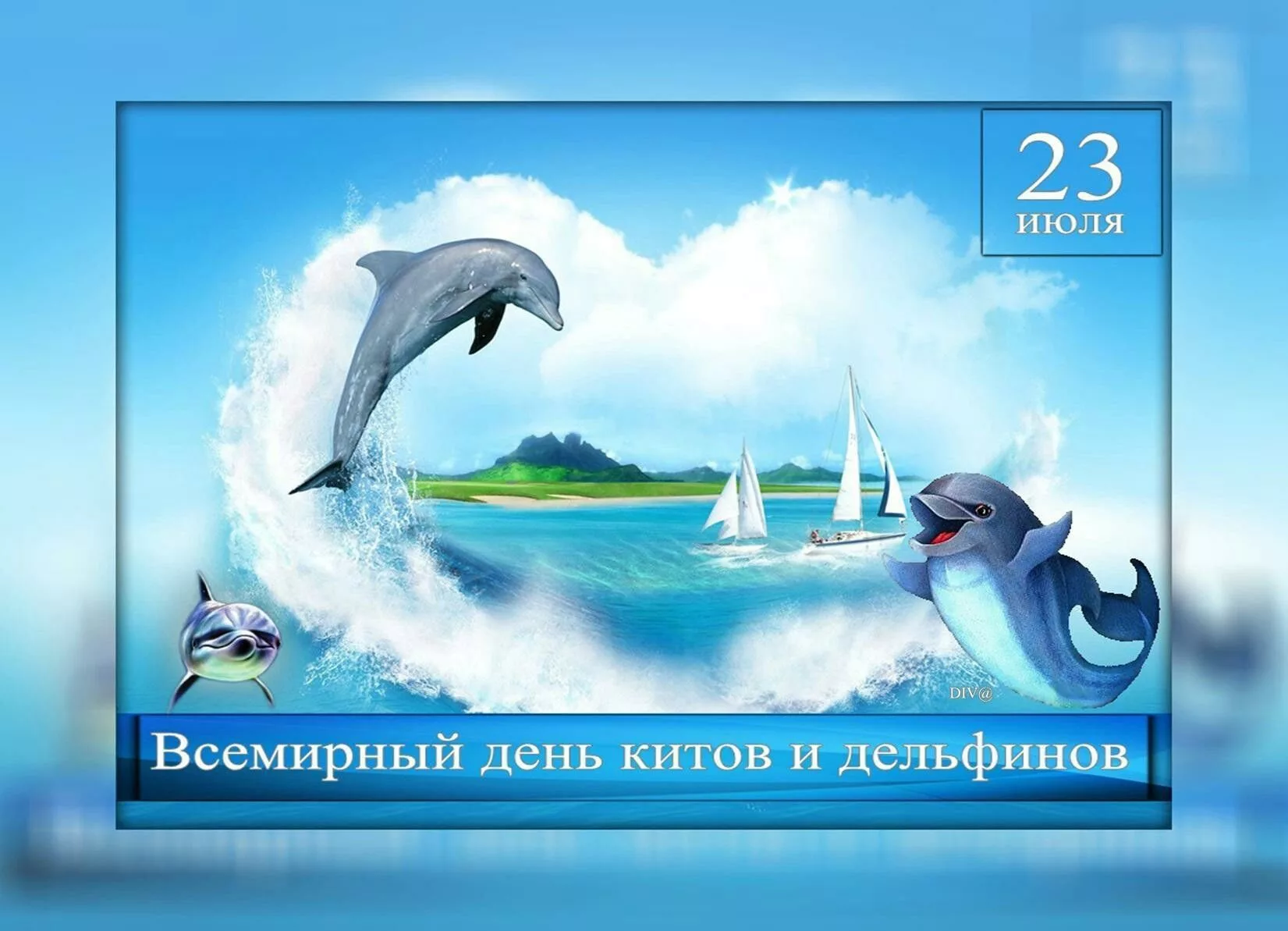 Фото Всемирный день китов и дельфинов 2024 #9