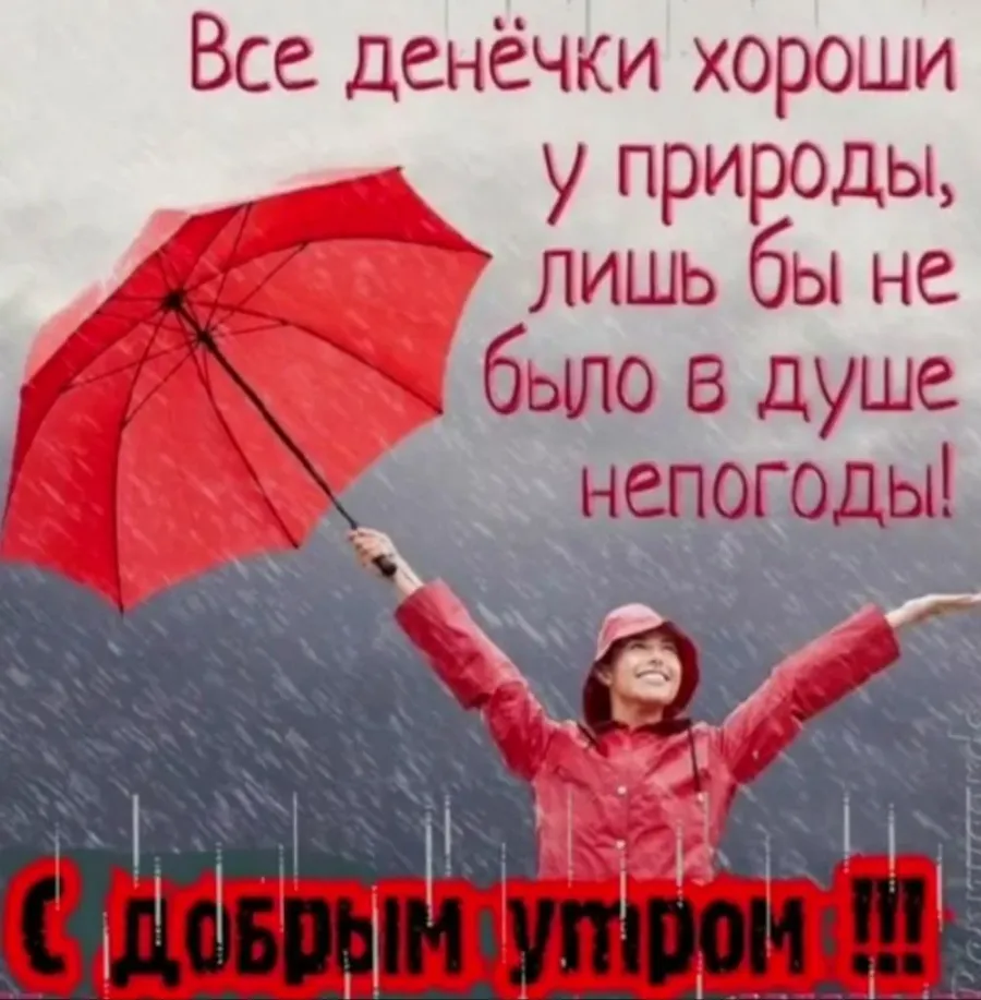 Открытки хорошего дня и погоды. Поцелюк Ольга Владимировна. Отличного настроения в любую погоду. Доброе утро в любую погоду. Хорошего настроения в дождливую погоду.