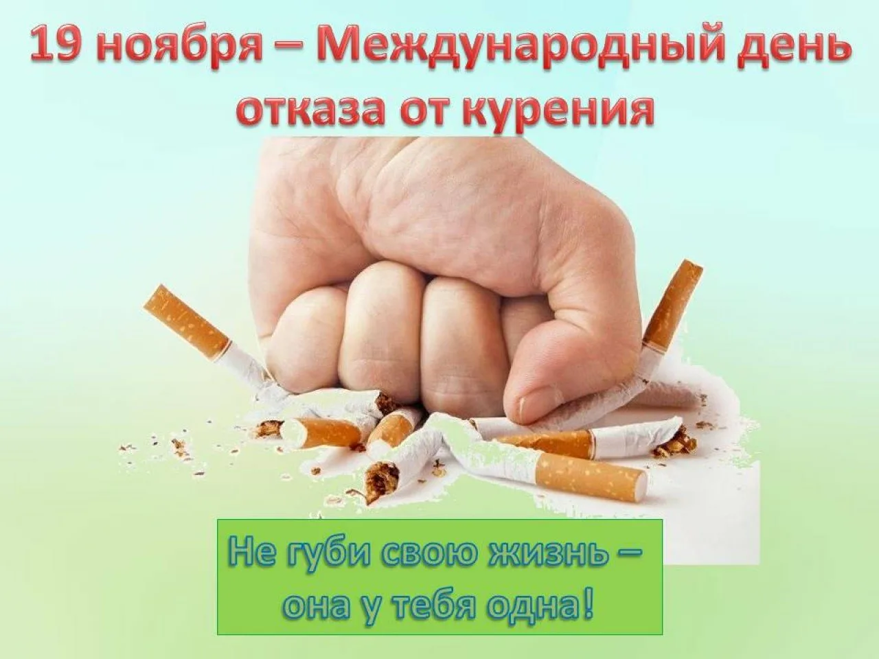 Фото Всемирный день без табака 2024 #31