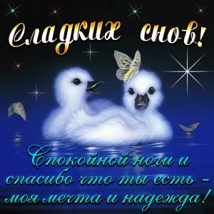 Пошлые картинки спокойной ночи