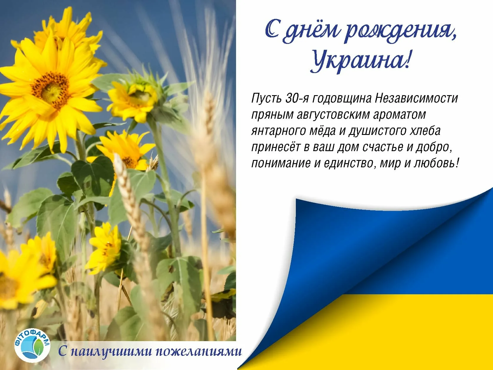 Фото Поздравления с днем независимости Украины #32