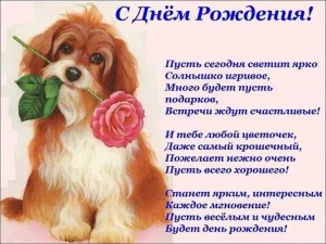 Скачивание изображения #61343