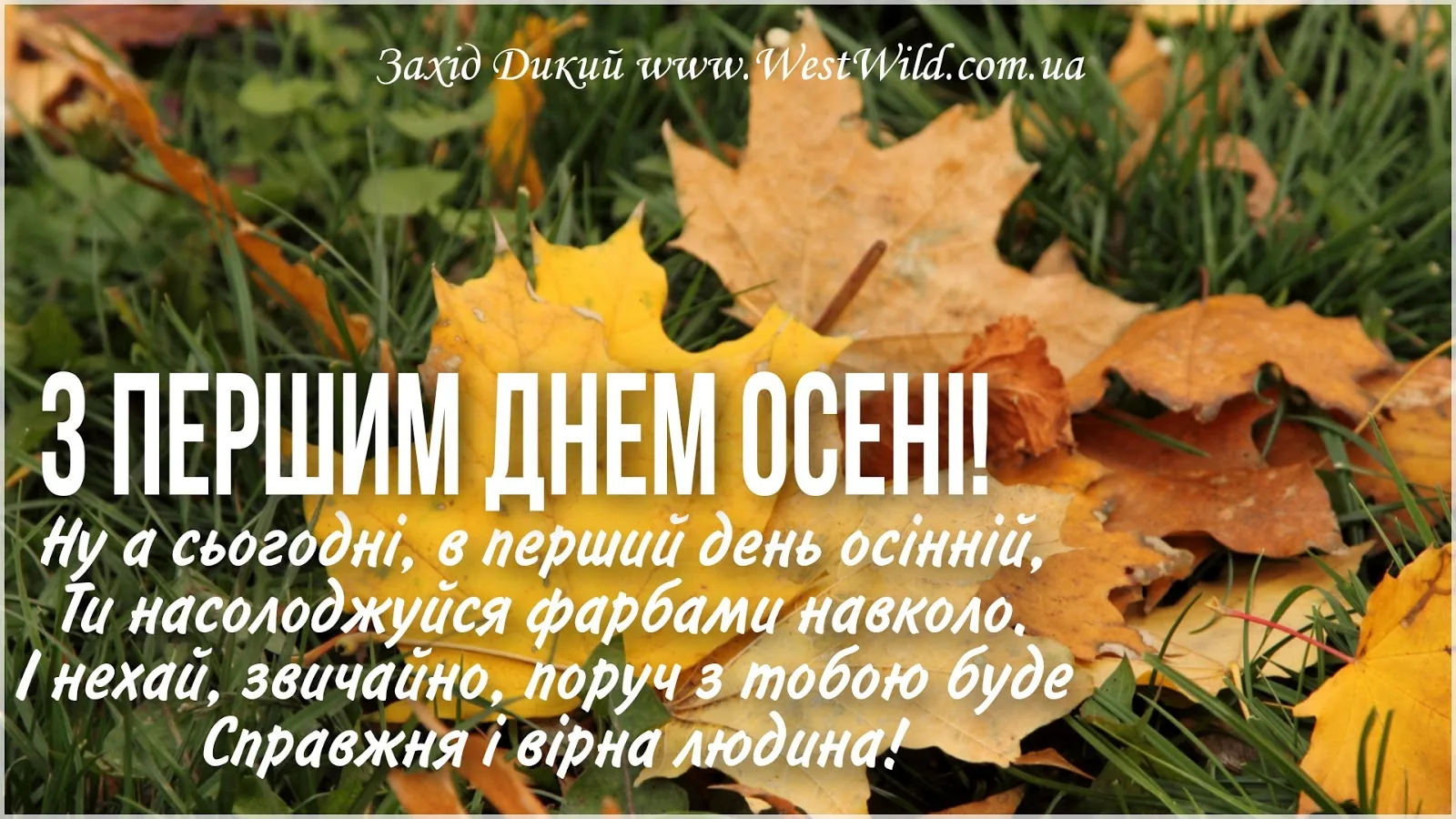 Фото Привітання з 1 Вересня на українській мові #71