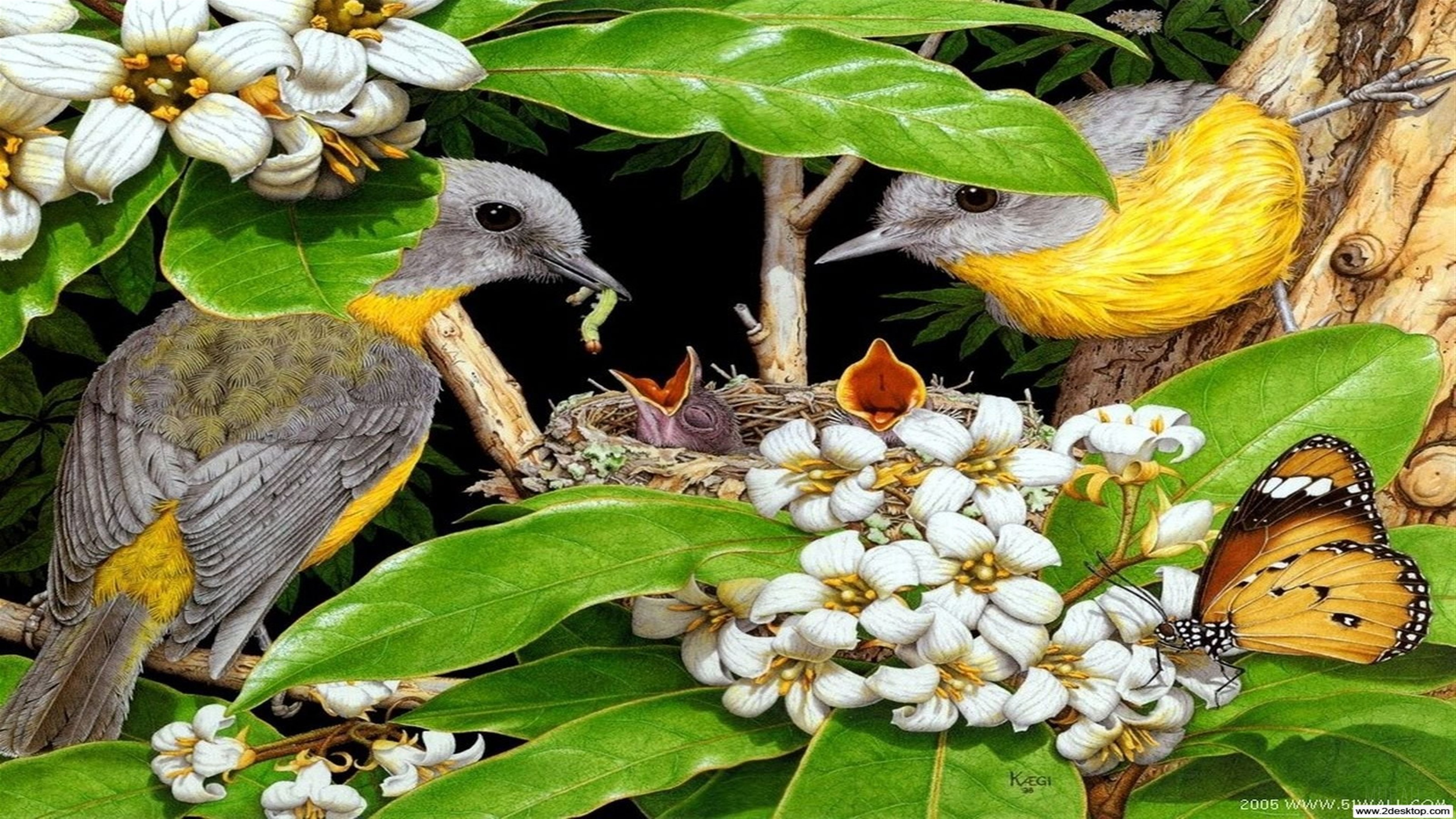 1 апреля день птиц картинки. День птиц. 1 Апреля Международный день птиц. Надпись Международный день птиц. День птиц презентация.