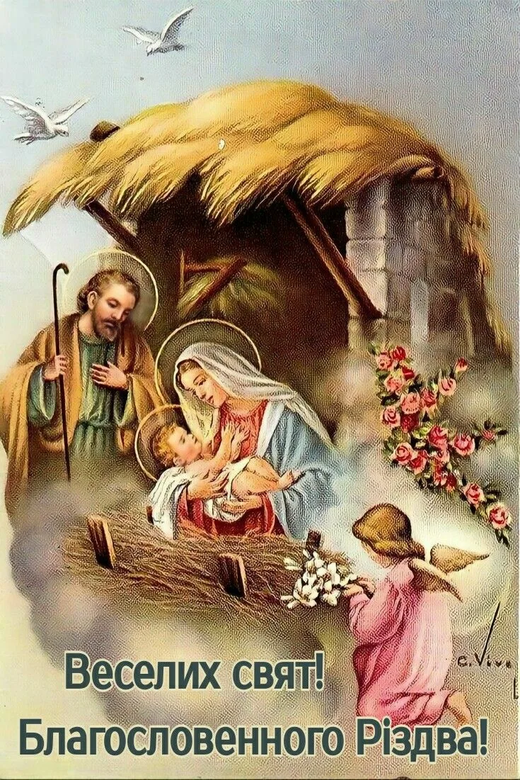Фото Прикольні привітання з Різдвом Христовим на українській мові #68