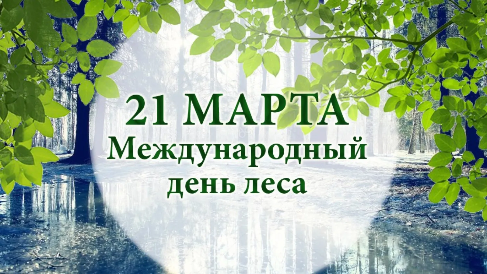 Фото Международный день леса 2025 #1