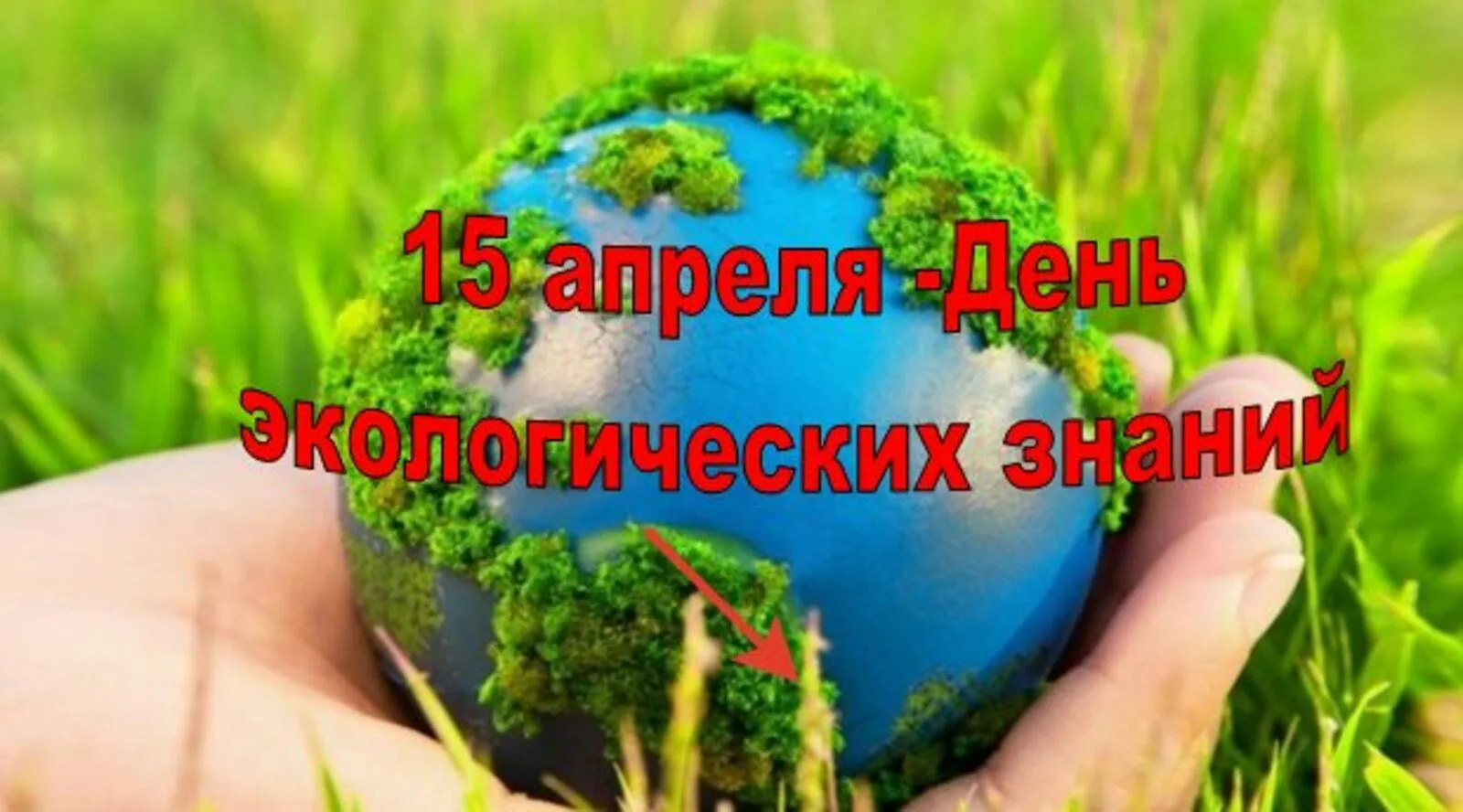 Фото День экологических знаний 2025 #9